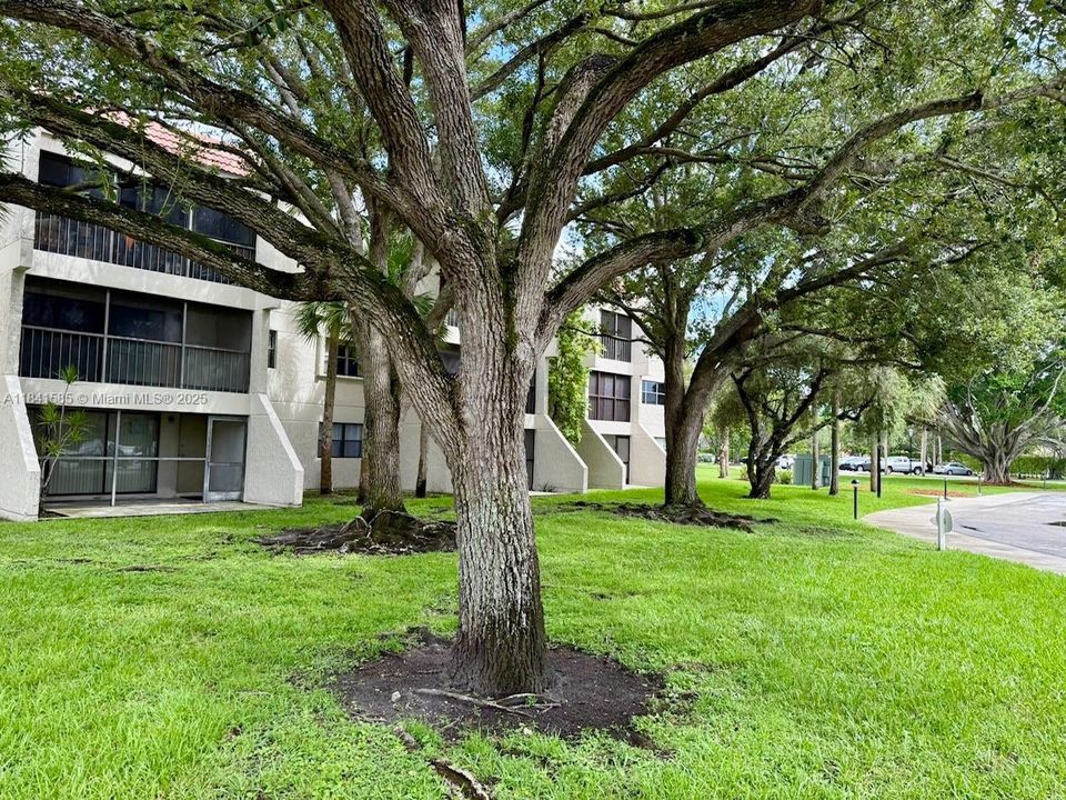 待售: $283,000 (1 贝兹, 1 浴室, 812 平方英尺)