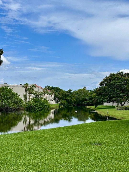 待售: $283,000 (1 贝兹, 1 浴室, 812 平方英尺)