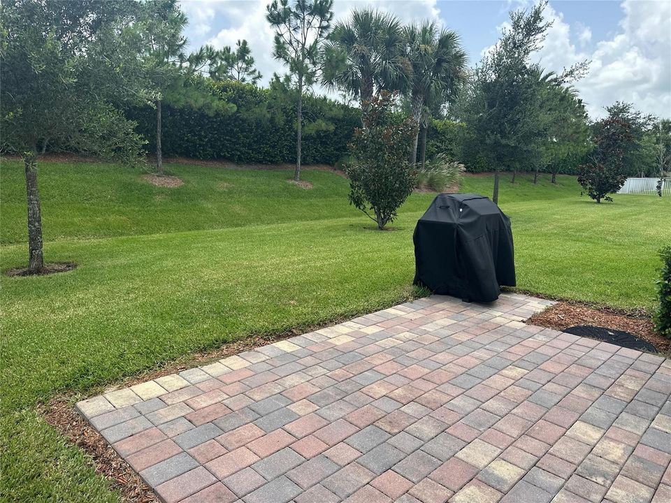 BACK YARD/GRILL
