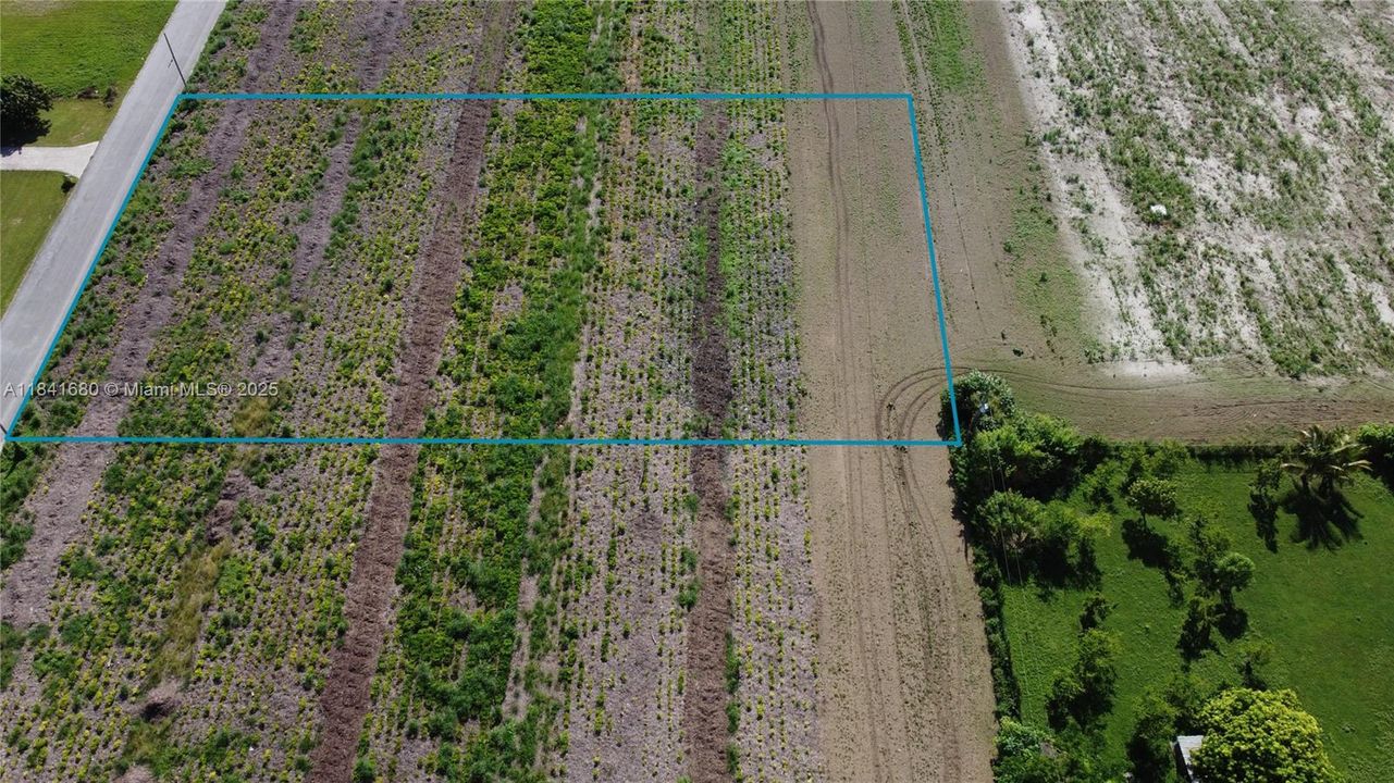 For Sale: $540,000 (1.25 acres)