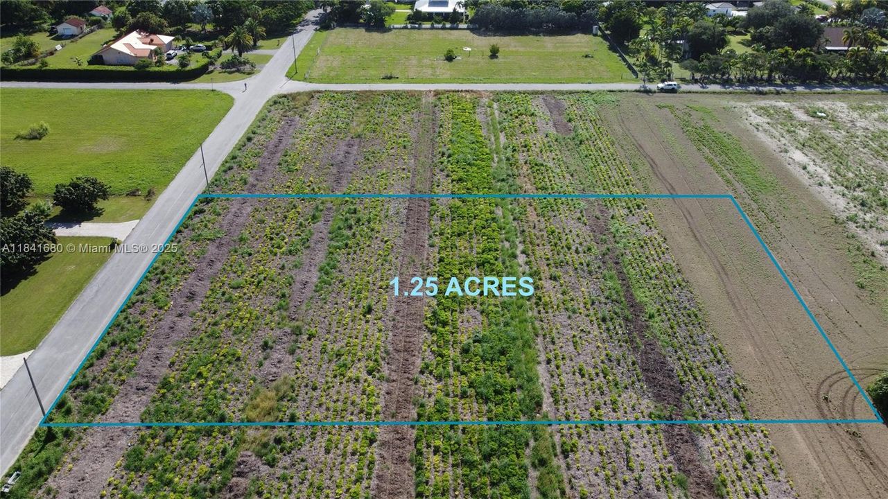 For Sale: $540,000 (1.25 acres)