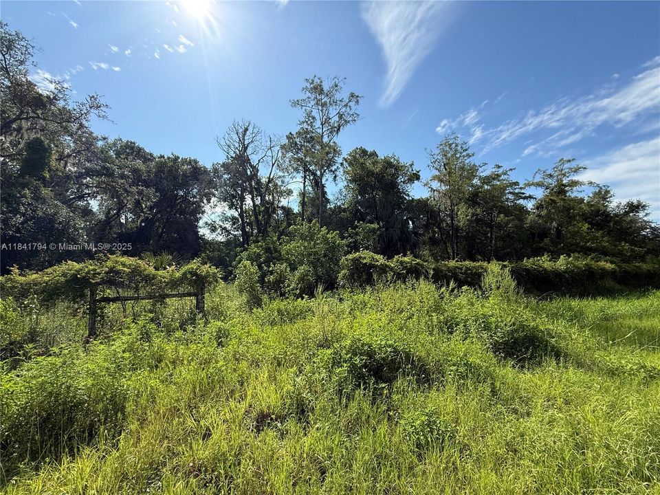 Recently Sold: $55,999 (1.25 acres)