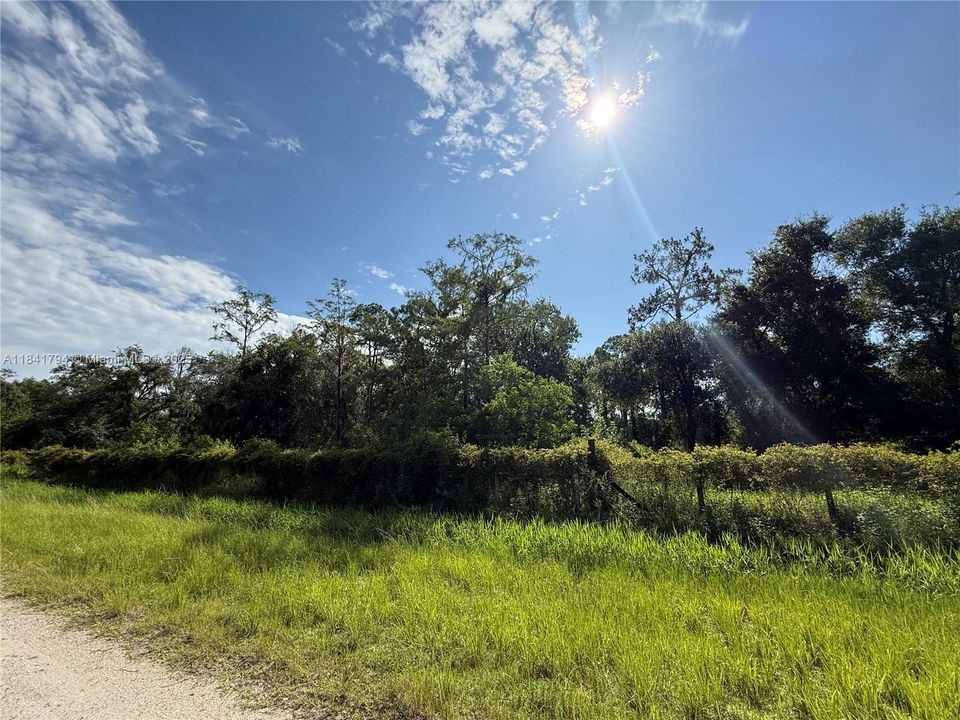 Recently Sold: $55,999 (1.25 acres)