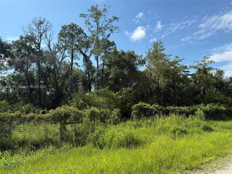 Recently Sold: $55,999 (1.25 acres)