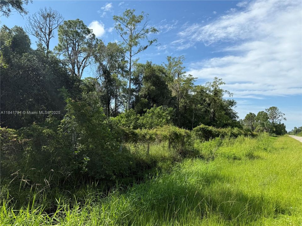 Recently Sold: $55,999 (1.25 acres)