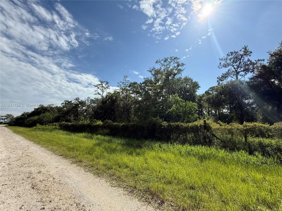 Recently Sold: $55,999 (1.25 acres)