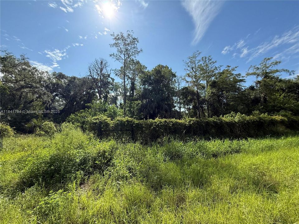 Recently Sold: $55,999 (1.25 acres)