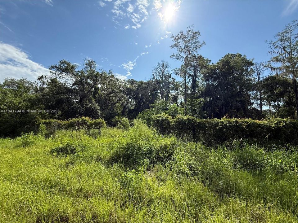 Recently Sold: $55,999 (1.25 acres)
