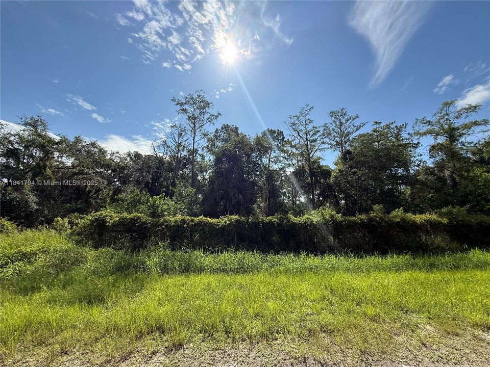 Recently Sold: $55,999 (1.25 acres)