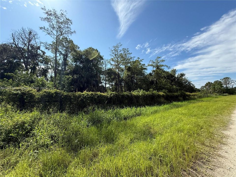 Recently Sold: $55,999 (1.25 acres)