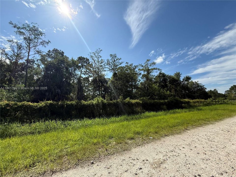 Recently Sold: $55,999 (1.25 acres)