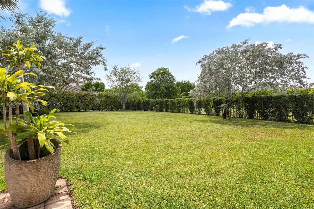 Large, Fenced Back Yard