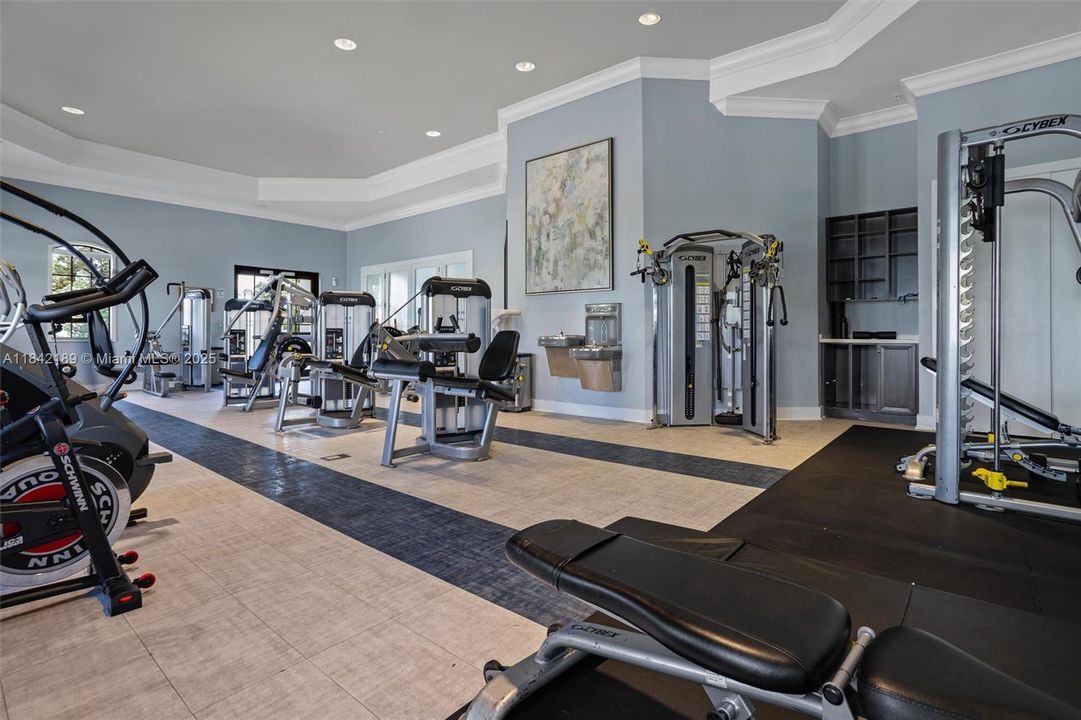 Gym with Various Weight Equipment