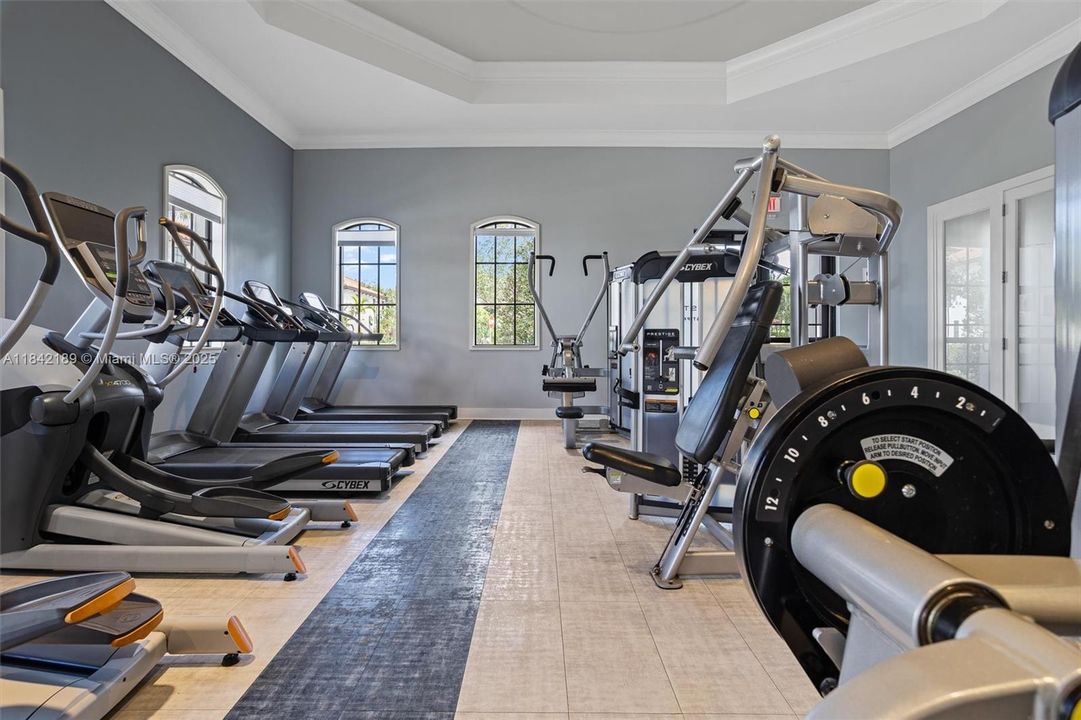 Modern Community Gym with Aerobic  Equipment