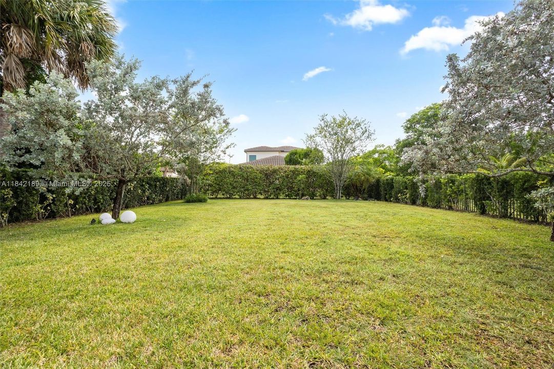 Hedged & Private Back Yard