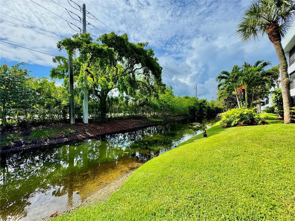 Active With Contract: $280,000 (1 beds, 1 baths, 990 Square Feet)