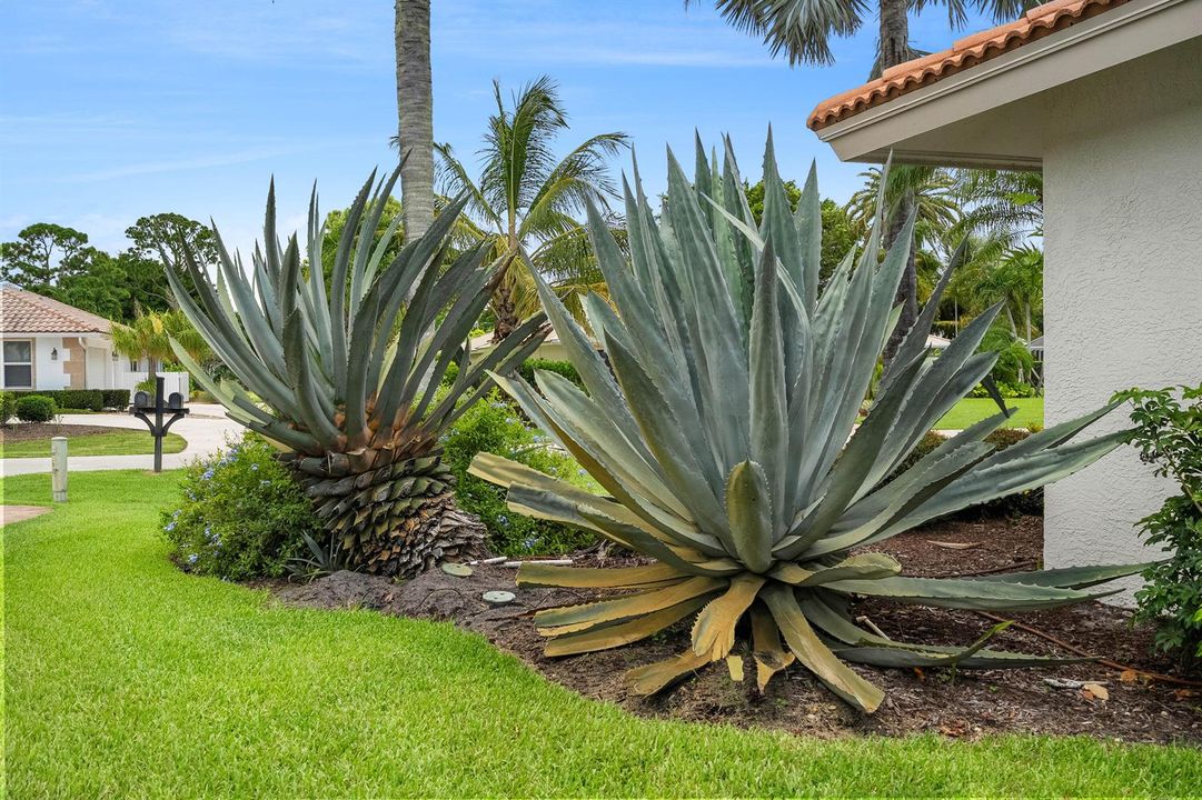 Landscaping