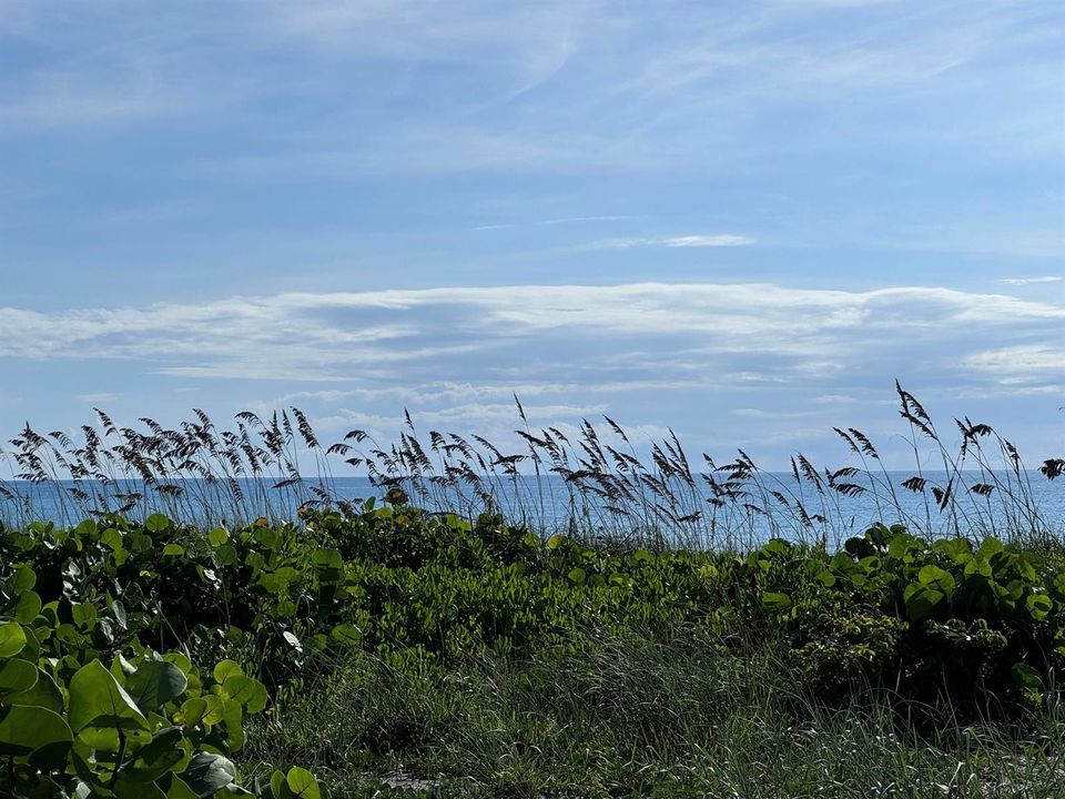Hobe Sound Beach