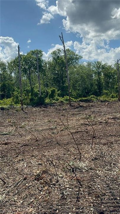 Catamount Rd, LaBelle, FL