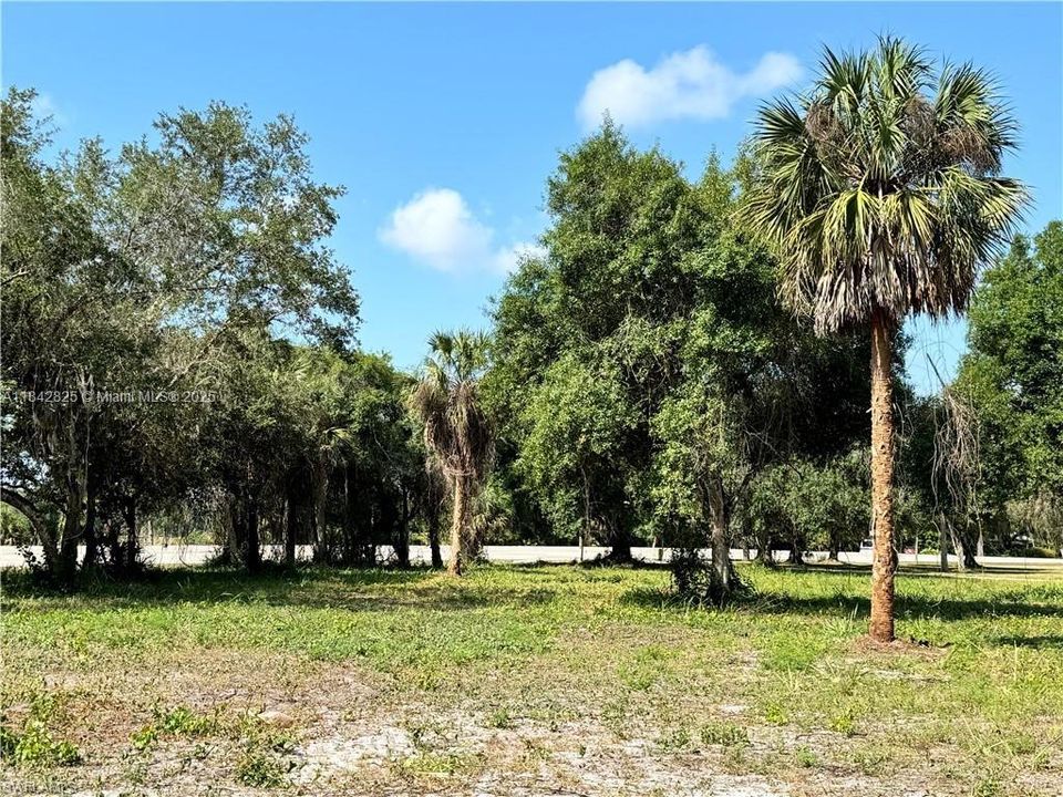 Magnolia Ave, LaBelle, FL 33935