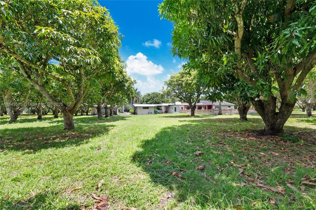 En Venta: $3,000,000 (3 camas, 1 baños, 1709 Pies cuadrados)