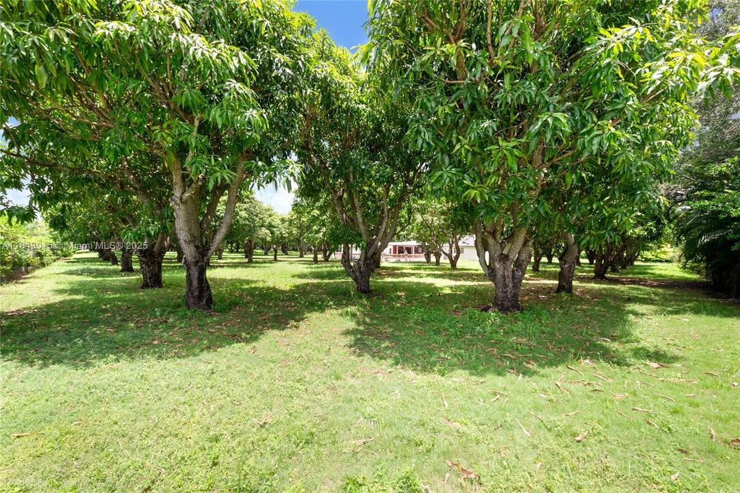 En Venta: $3,000,000 (3 camas, 1 baños, 1709 Pies cuadrados)