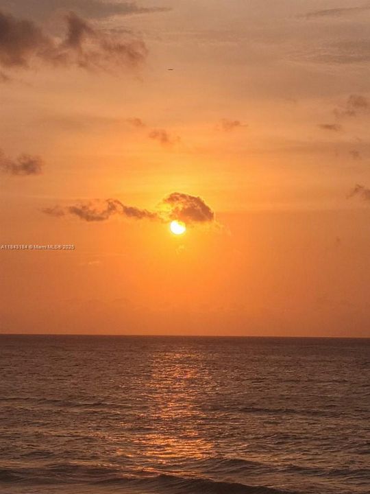 待售: $179,999 (0 贝兹, 1 浴室, 360 平方英尺)