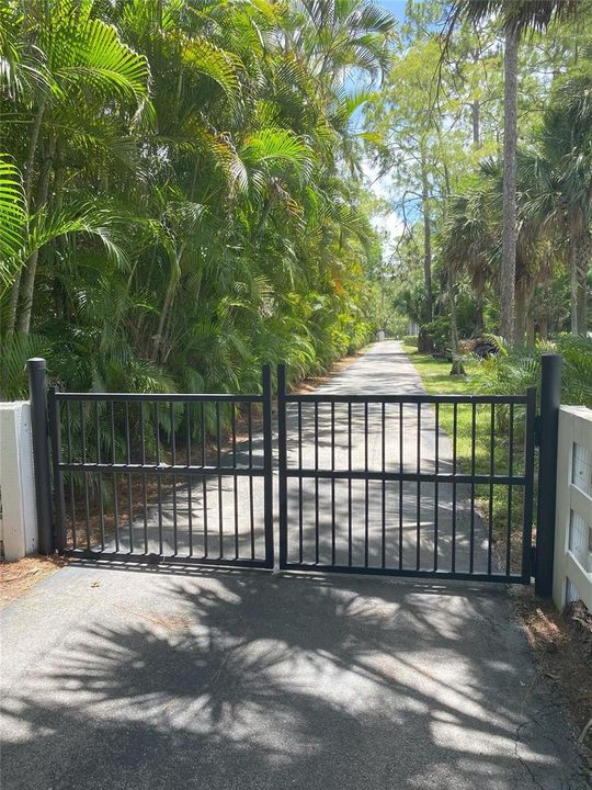 Driveway Looking to Street