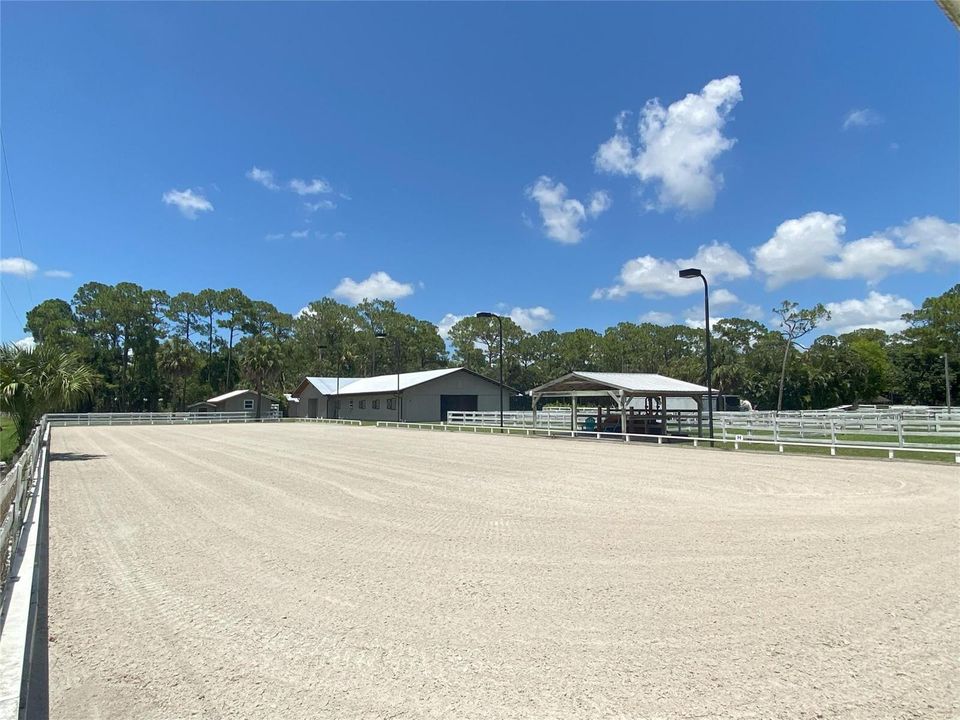 Arena