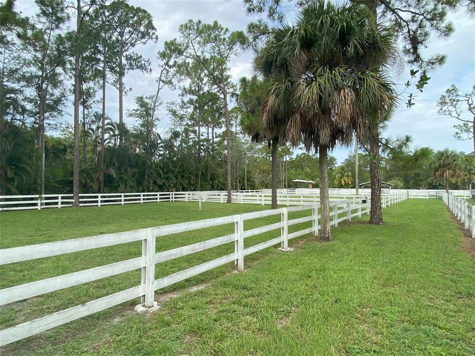 Paddocks