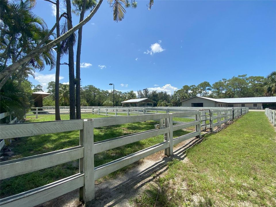 Paddocks
