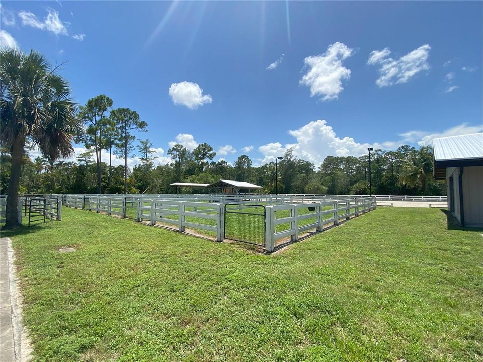 Paddocks
