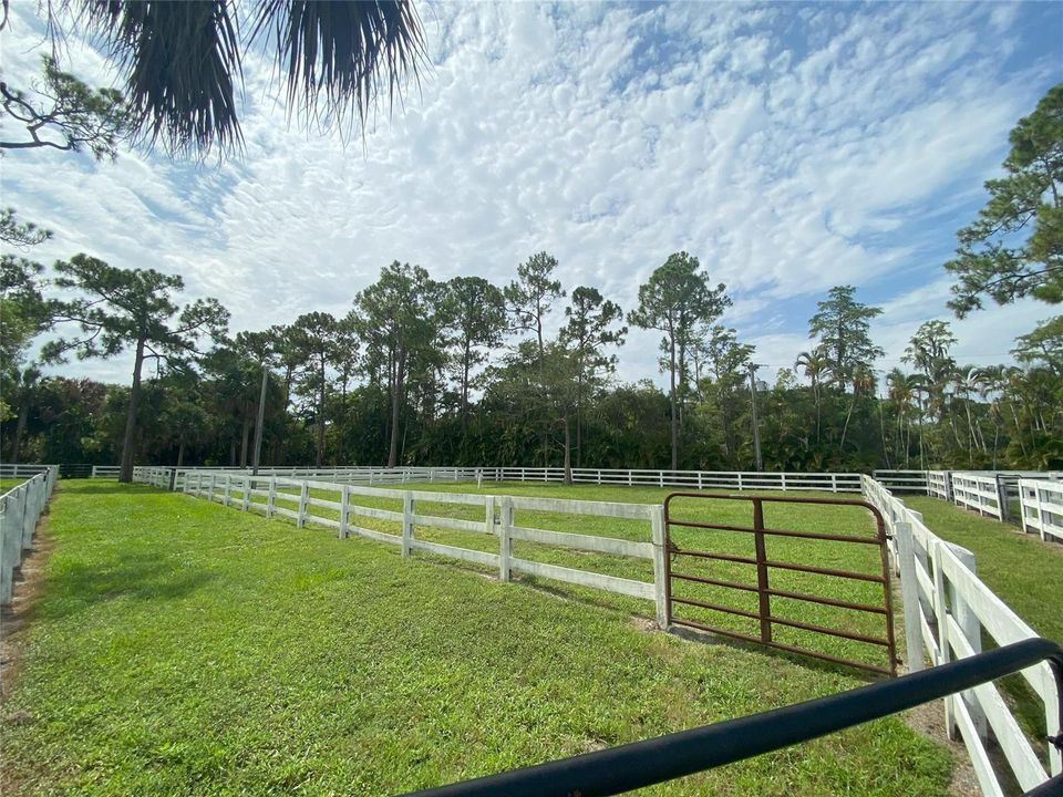Paddocks