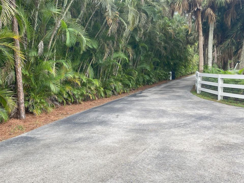 Driveway Looking to Street