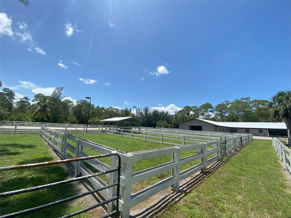 Paddocks