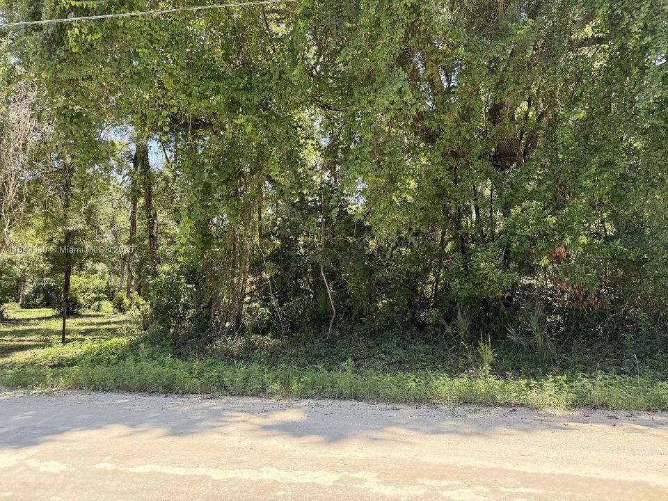 Recently Sold: $36,000 (3.20 acres)