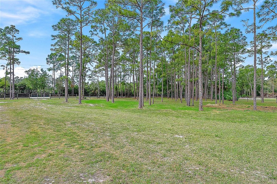Gated Entrance for Horse Trailers