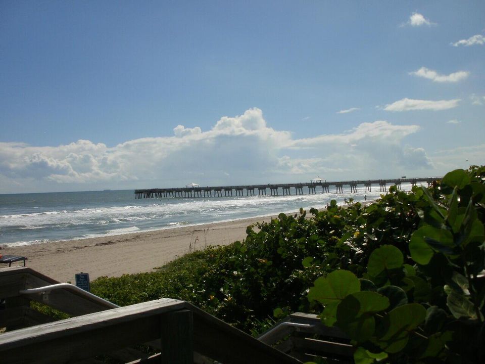 Juno Beach
