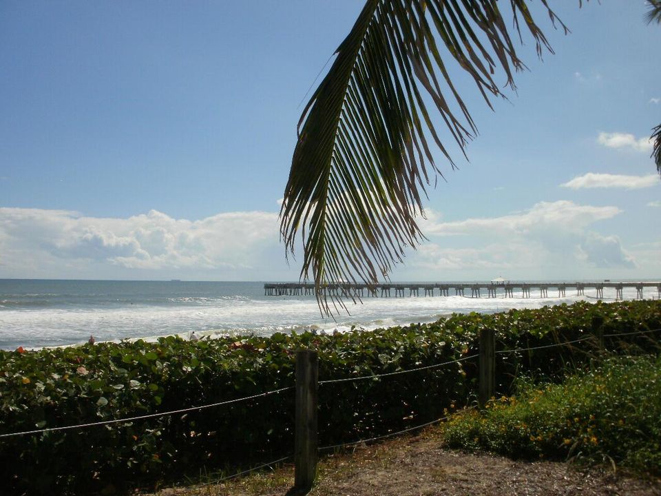 Juno Beach