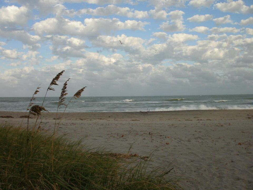 Jupiter Beach