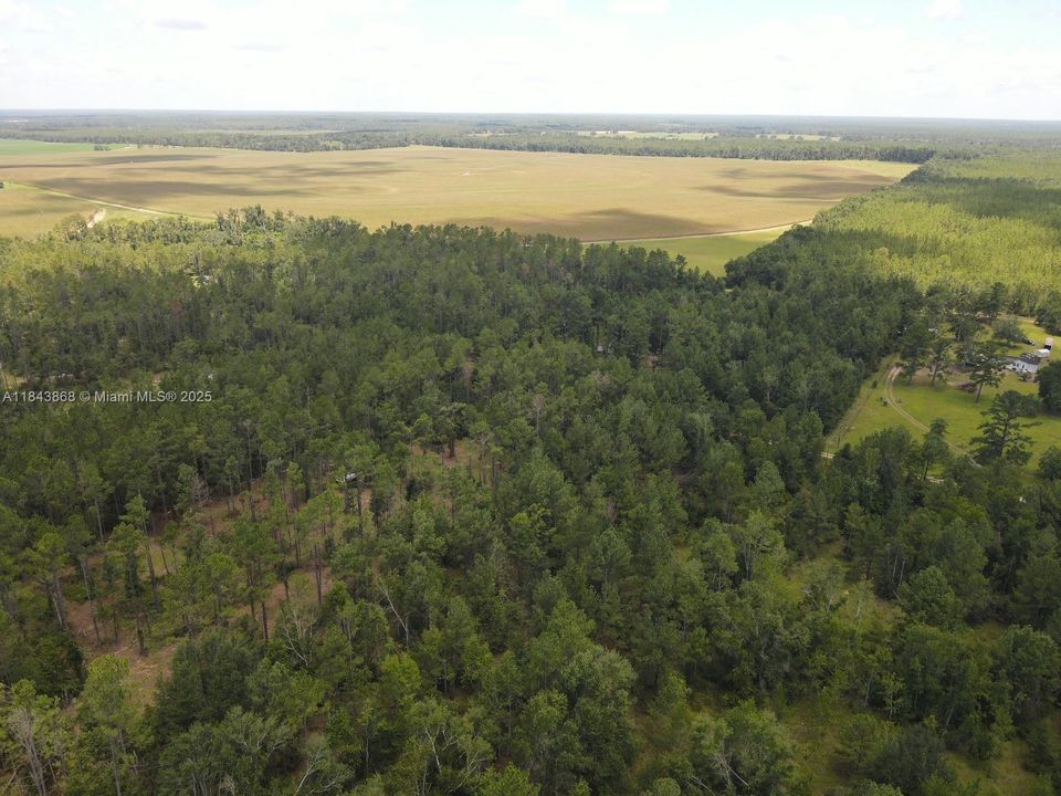 На продажу: $32,800 (2.93 acres)
