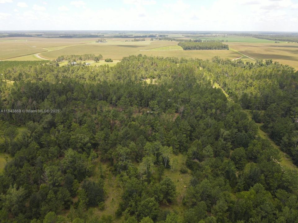 На продажу: $32,800 (2.93 acres)