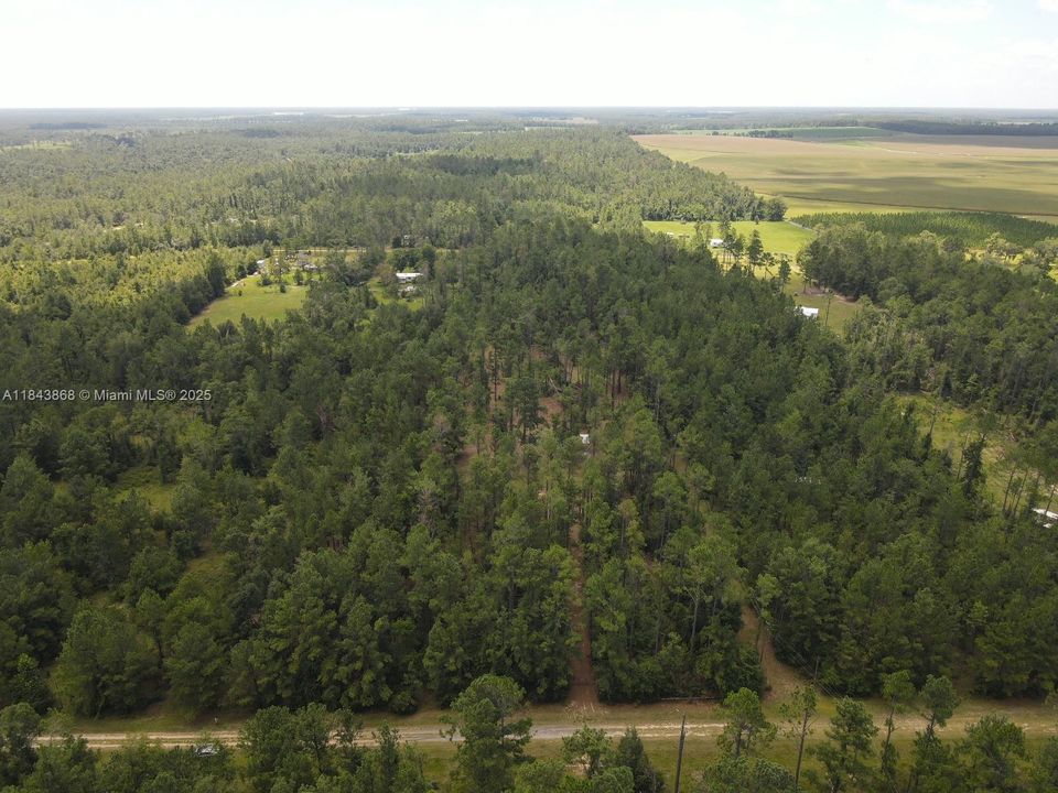 На продажу: $32,800 (2.93 acres)