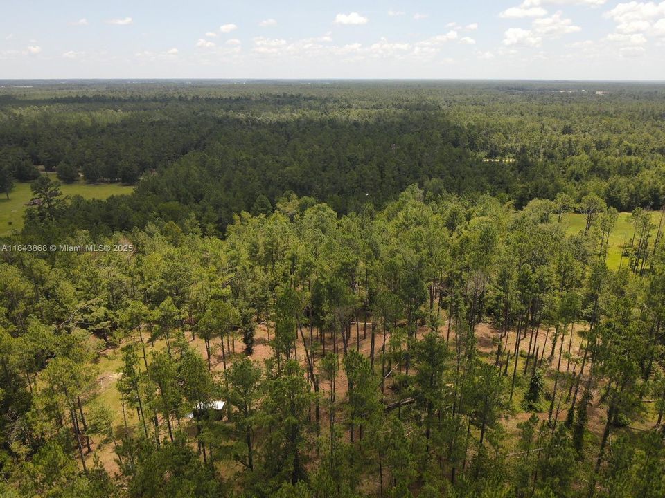 На продажу: $32,800 (2.93 acres)