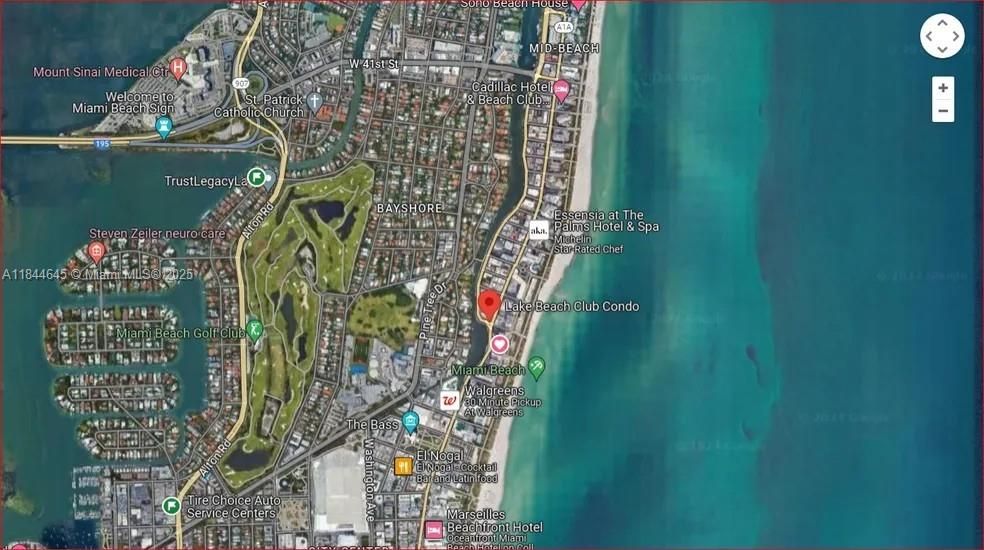 Google Map location view