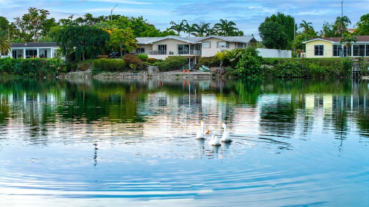 For Sale: $1,595,000 (3 beds, 2 baths, 2468 Square Feet)