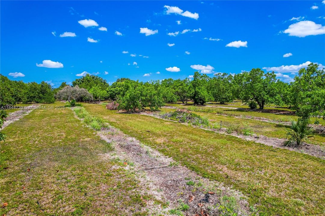 For Sale: $545,000 (2.50 acres)