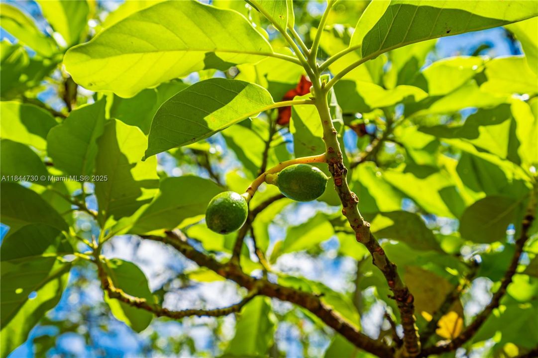 For Sale: $545,000 (2.50 acres)