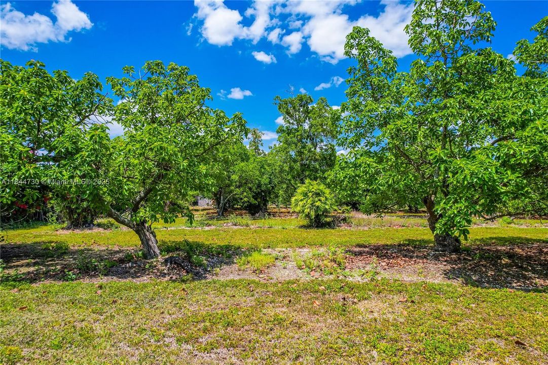 For Sale: $545,000 (2.50 acres)