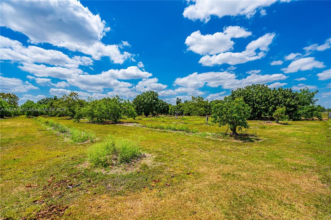 For Sale: $545,000 (2.50 acres)